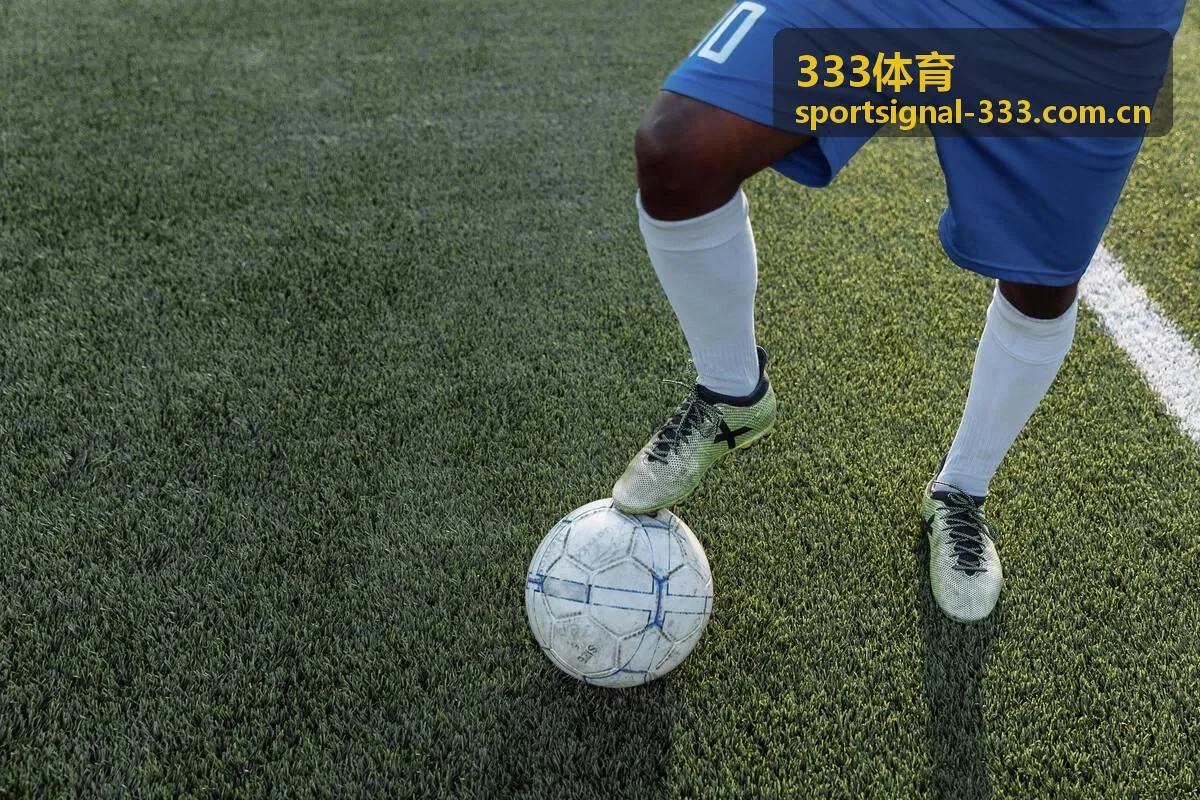 333体育 选手表现分析封面图